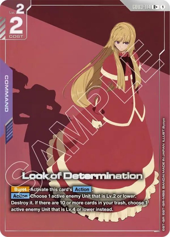 Look of Determination - R Plus