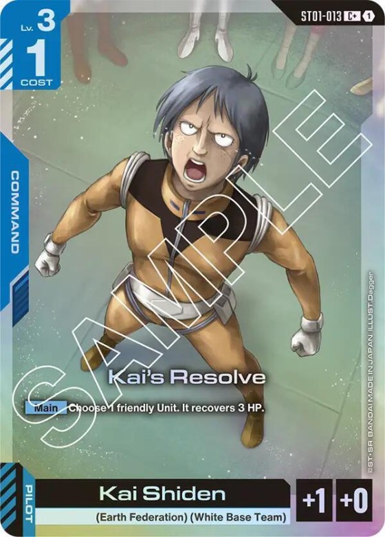Kai's Resolve - C Plus