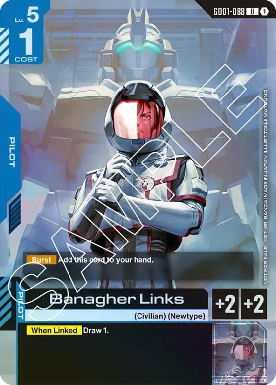 Banagher Links - Launch Event