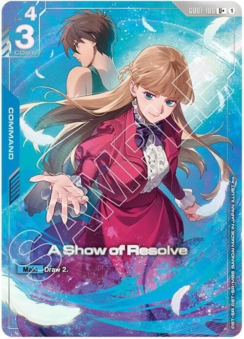 A Show of Resolve - U Plus Premium Accessory Set M