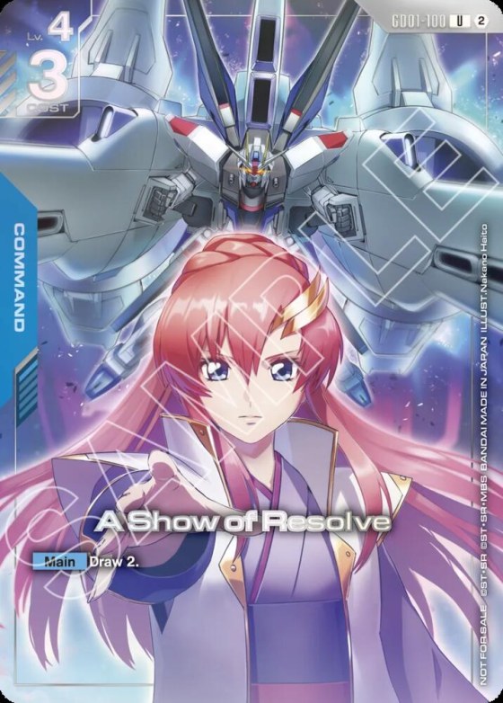 A Show of Resolve - 1st Anniversary Event