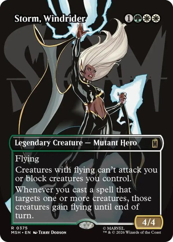 Storm, Windrider - Foil