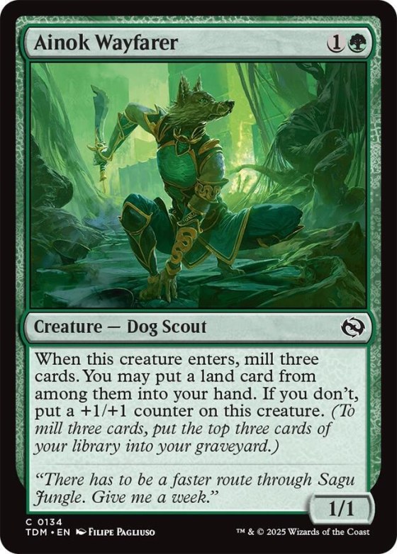 Ainok Wayfarer - Foil