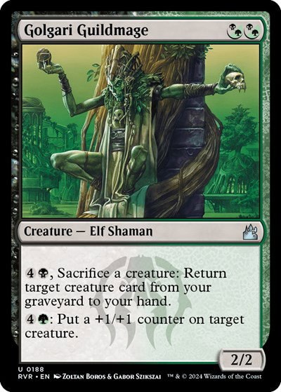 Golgari Guildmage - Foil