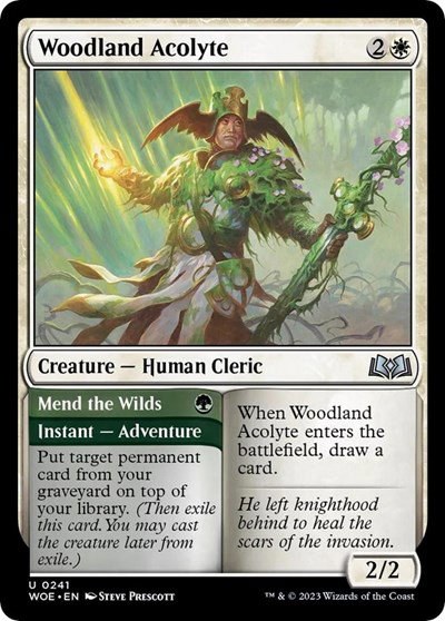 Woodland Acolyte - Foil