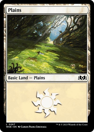 Plains - Foil