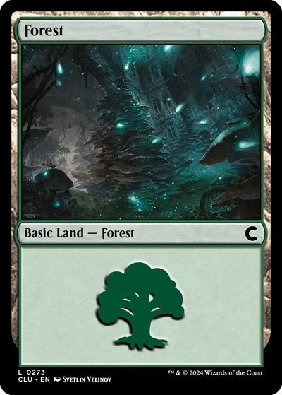 Forest