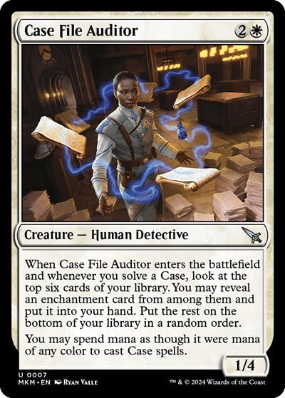 Case File Auditor - A