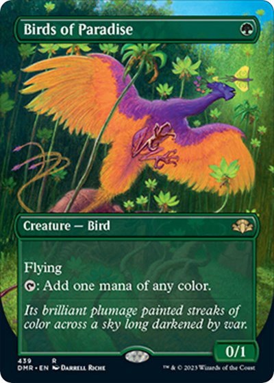 Birds of Paradise