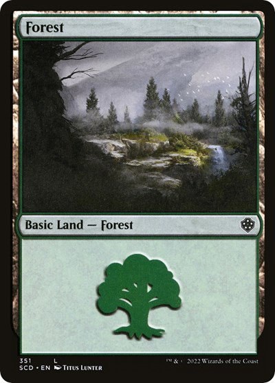 Forest