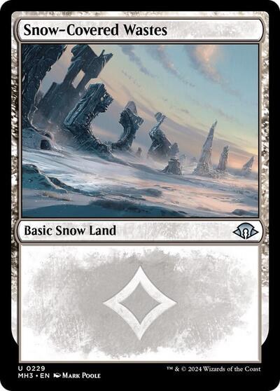 Snow-Covered Wastes - Foil