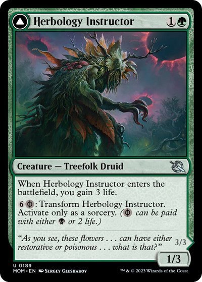 Herbology Instructor - Foil
