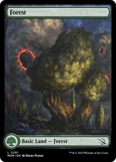 Forest