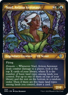Nael, Avizoa Aeronaut - Foil