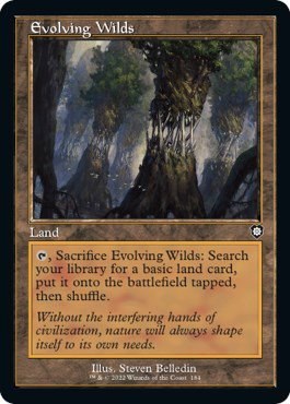 Evolving Wilds