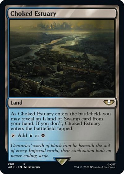 Choked Estuary - Surge Foil