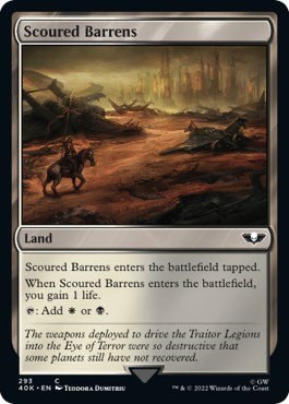 Scoured Barrens - Surge Foil