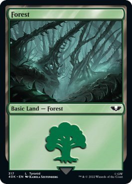 Forest - Surge Foil