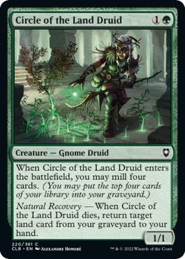 Circle of the Land Druid - Foil