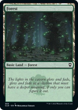 Forest - Foil