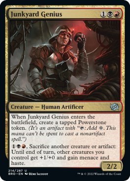 Junkyard Genius - Foil