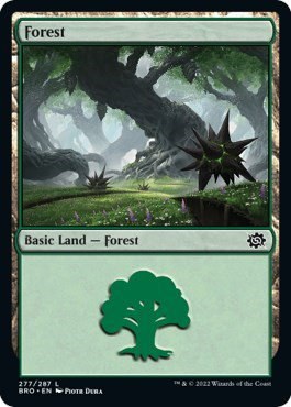 Forest
