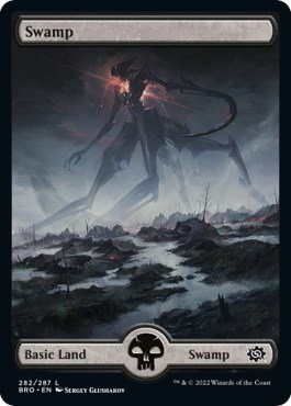 Swamp (282) - Full Art - Foil