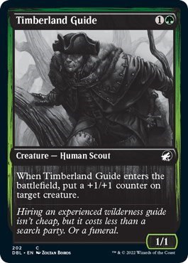Timberland Guide - Foil
