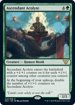 Ascendant Acolyte