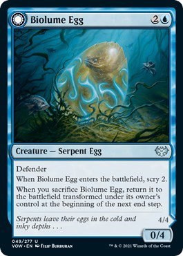 Biolume Egg - Foil