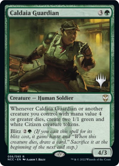 Caldaia Guardian - Foil Caldaia Guardian
