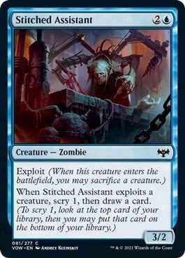 Stitched Assistant - Foil