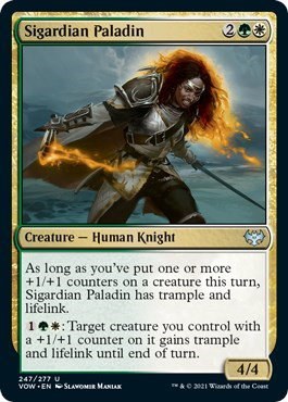 Sigardian Paladin - Foil
