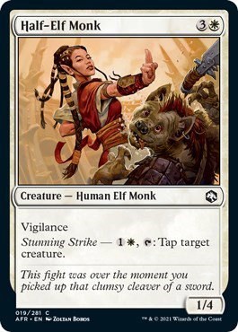 Half-Elf Monk - Normal Half Elf Monk