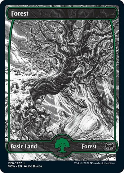 Forest - Foil