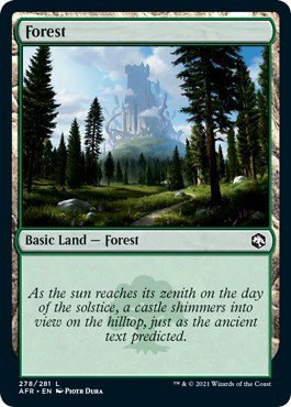 Forest - Foil