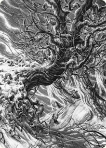 Forest Art Card