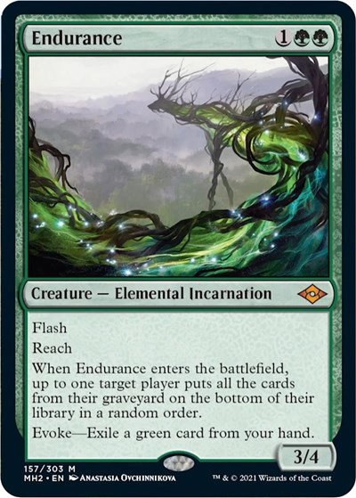 Endurance - Foil