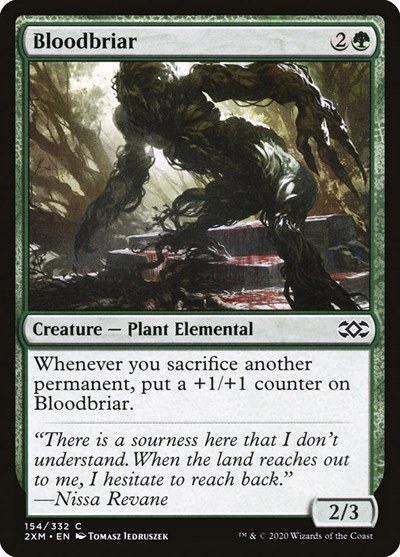 Bloodbriar - Foil
