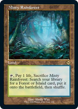 Misty Rainforest - Foil