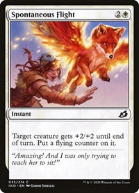 Spontaneous Flight - Foil