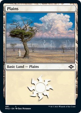 Plains - Foil Etched