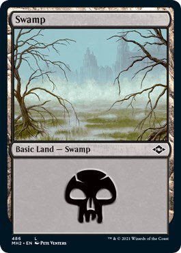 Swamp - Foil Etched