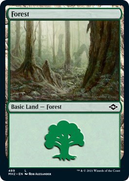 Forest - Foil Etched