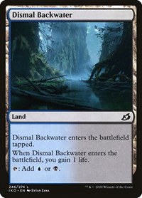 Dismal Backwater - Foil