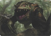 Excavating Anurid