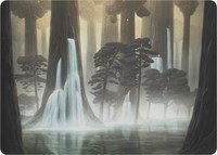 Waterlogged Grove