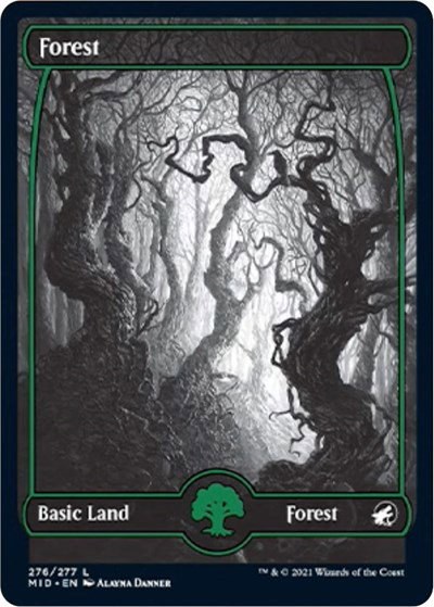 Forest - Foil