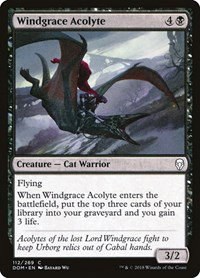 Windgrace Acolyte - Foil