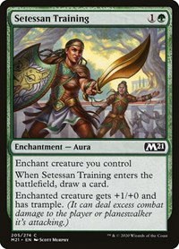Setessan Training - Foil